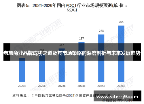 老詹商业品牌成功之道及其市场策略的深度剖析与未来发展趋势