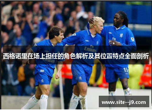 西格诺里在场上担任的角色解析及其位置特点全面剖析 西格诺里在场上担任的角色解析及其位置特点全面剖析