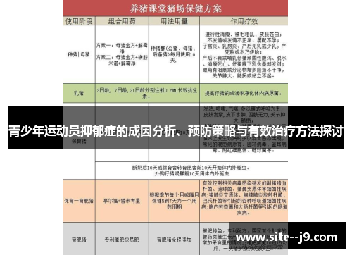 青少年运动员抑郁症的成因分析、预防策略与有效治疗方法探讨 青少年运动员抑郁症的成因分析、预防策略与有效治疗方法探讨