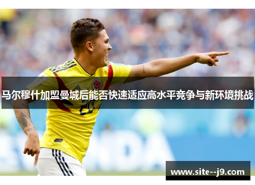 马尔穆什加盟曼城后能否快速适应高水平竞争与新环境挑战 马尔穆什加盟曼城后能否快速适应高水平竞争与新环境挑战