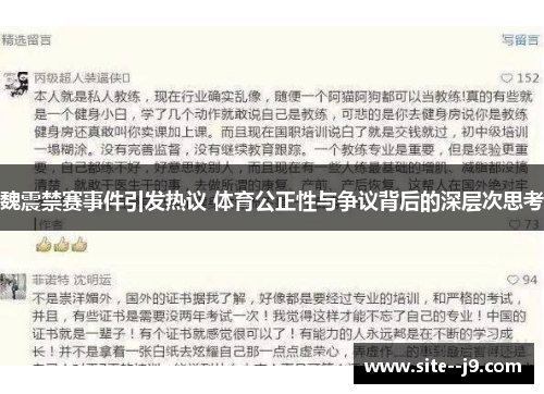 魏震禁赛事件引发热议 体育公正性与争议背后的深层次思考
