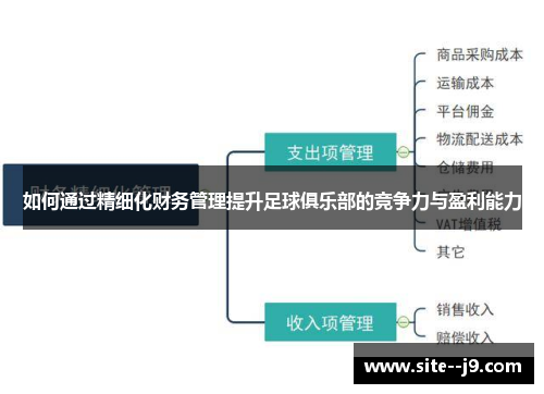 如何通过精细化财务管理提升足球俱乐部的竞争力与盈利能力