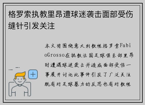 格罗索执教里昂遭球迷袭击面部受伤缝针引发关注 格罗索执教里昂遭球迷袭击面部受伤缝针引发关注